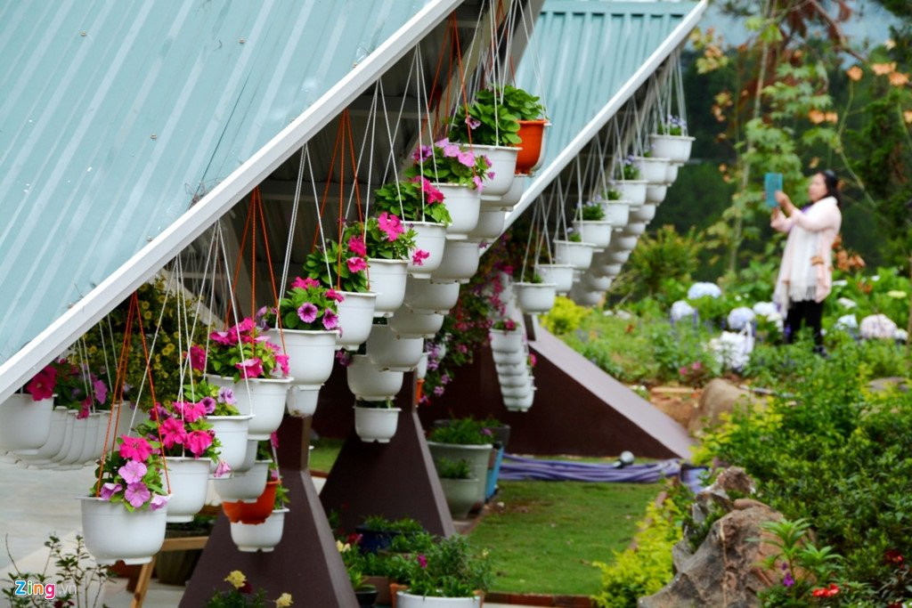 Ngoi nha 132 mai doc dao giua Da Lat hinh anh 2