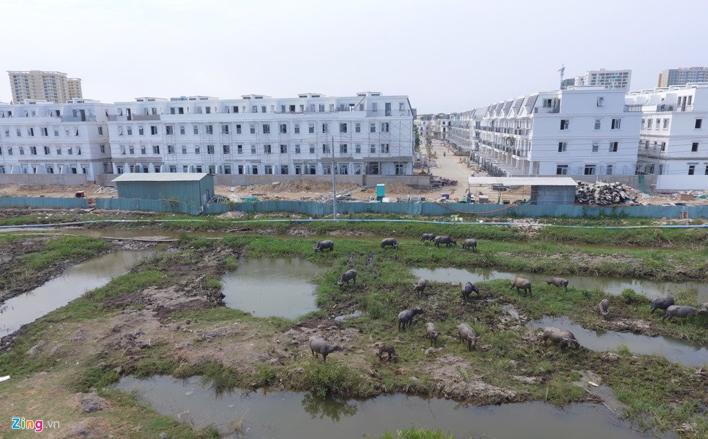 Metro, cao toc, duong vanh dai lam khu Dong Sai Gon thay doi ra sao? hinh anh 12
