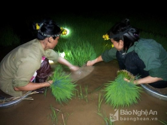 images1918962__nh_nh__m____m_1