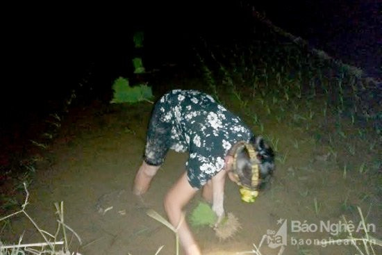 images1918963__nh_c_y___m_____nh_H_ 3