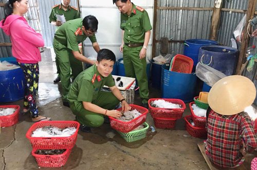 Ập vào hai cơ sở mua bán tôm, cảnh sát bắt giữ hơn chục công nhân đang bơm tạp chất vào tôm. Ảnh: Hiếu An.