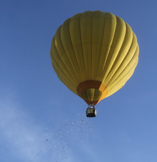 Tac gia vu 'mua tien' tu khinh khi cau xin loi du luan hinh anh 1