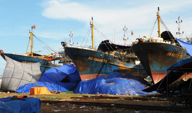 Bao cao Thu tuong, Bo Nong nghiep de nghi xu nghiem vu tau ca vo thep hinh anh 2