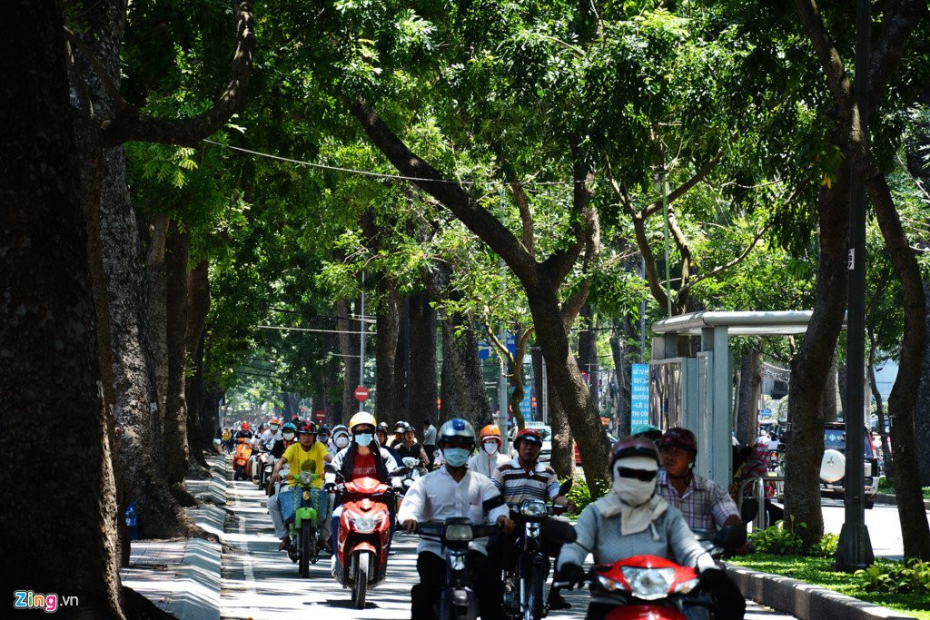 Nguoi dan Sai Gon tiec nuoi khi sap mat them hang cay co thu hinh anh 2