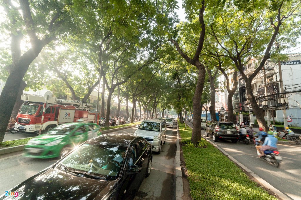 Nguoi dan Sai Gon tiec nuoi khi sap mat them hang cay co thu hinh anh 7