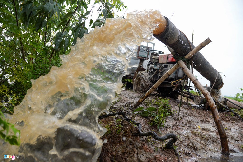200 ha lua ngap chim trong nuoc do mua lon keo dai hinh anh 5