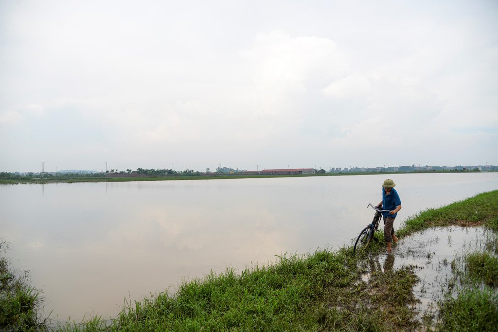 200 ha lua ngap chim trong nuoc do mua lon keo dai hinh anh 7