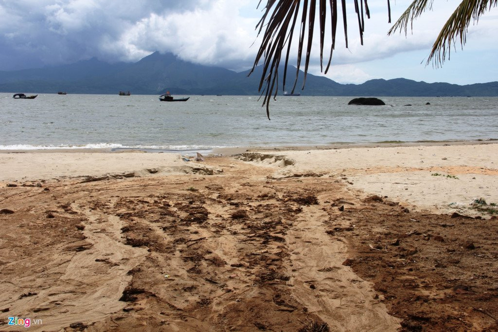 Can canh sat lo quanh 40 mong biet thu trai phep tren nui Son Tra hinh anh 2