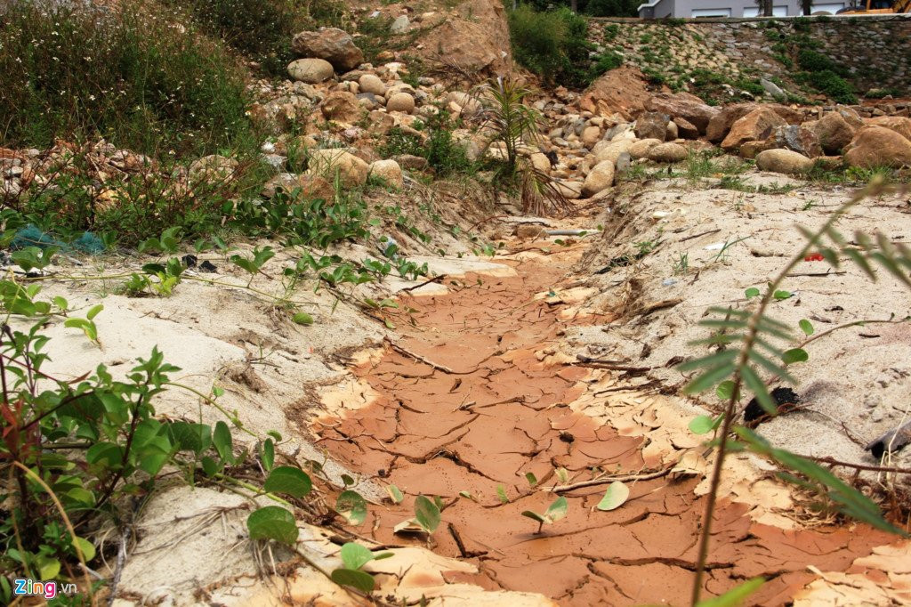 Can canh sat lo quanh 40 mong biet thu trai phep tren nui Son Tra hinh anh 5