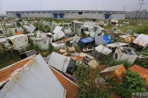 nghia 6