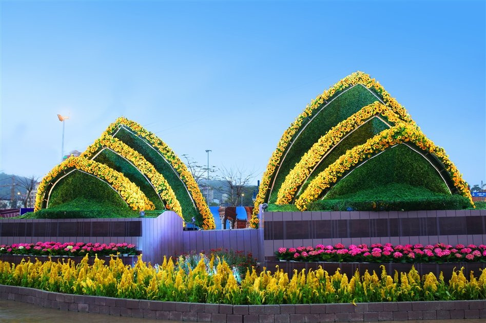 anh 4- Le hoi ky quan muon sac hoa 4