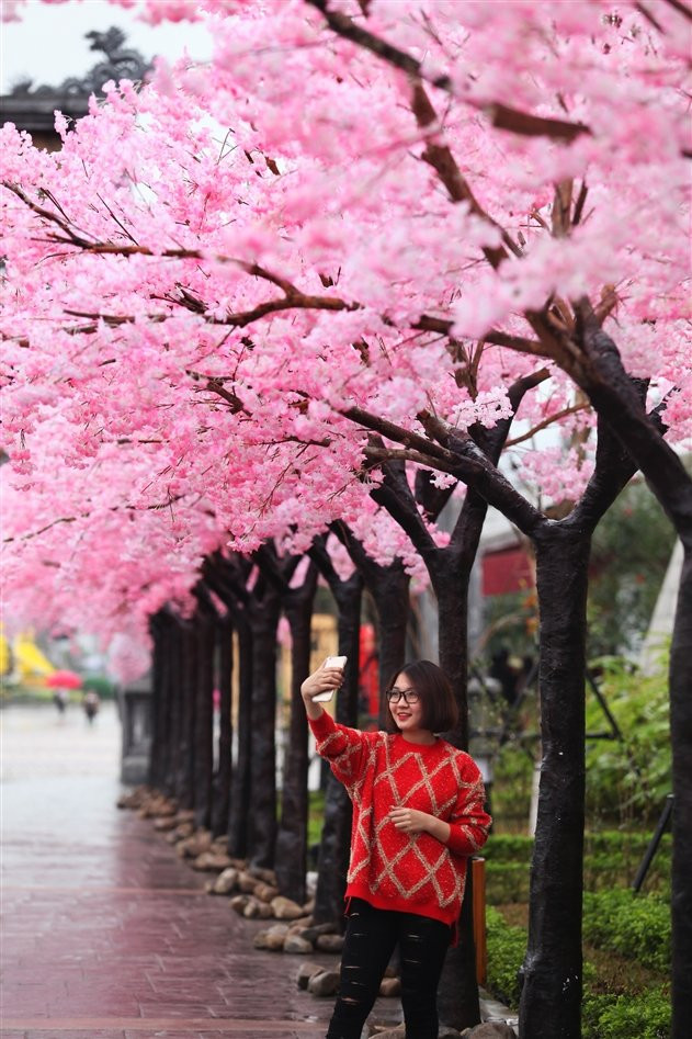 anh 7-le hoi ky quan muon sac hoa 7