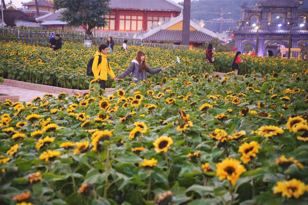 anh 8- Le hoi ky quan muon sac hoa 9