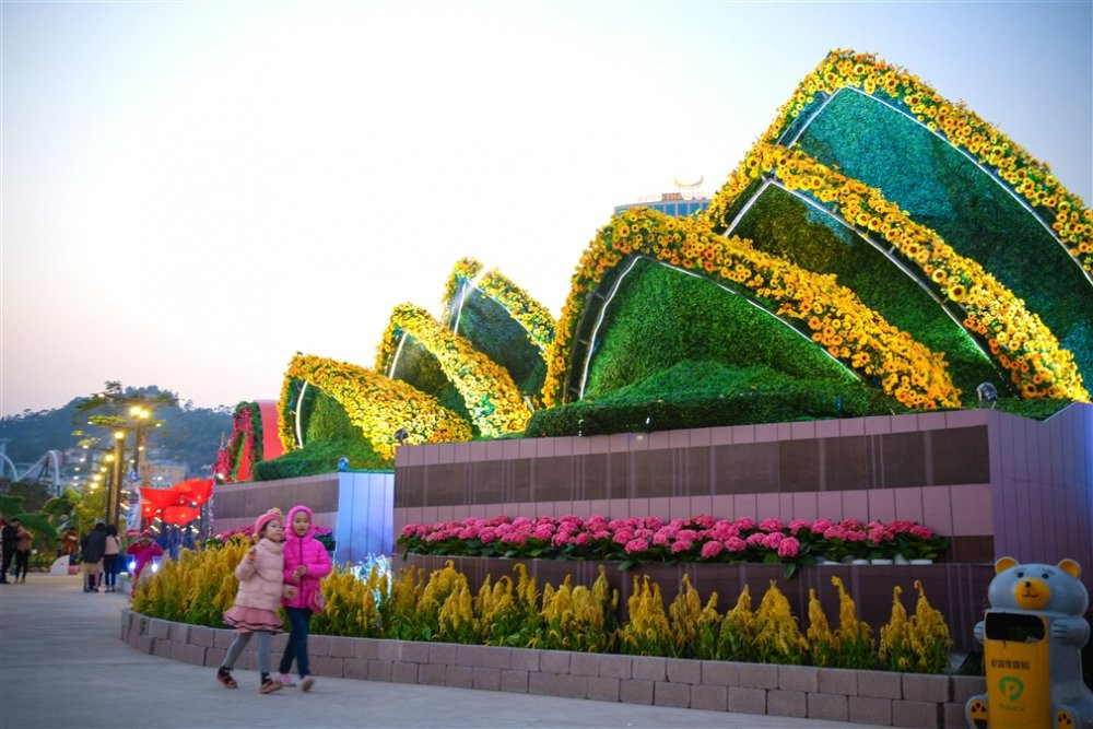 anh 9- Le hoi ky quan muon sac hoa 12