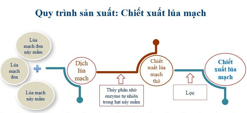 Quy trinh san xuat lua mach 4