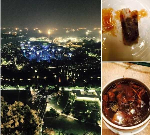 ho-ngoc-ha-va-dai-gia-o-singapore