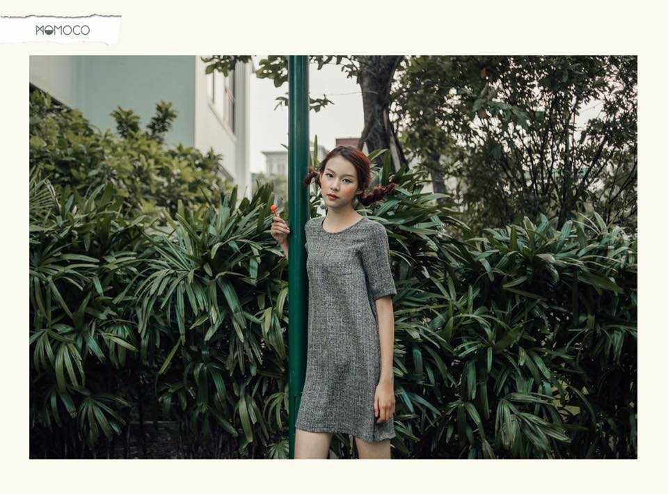 12541071_1271345119557881