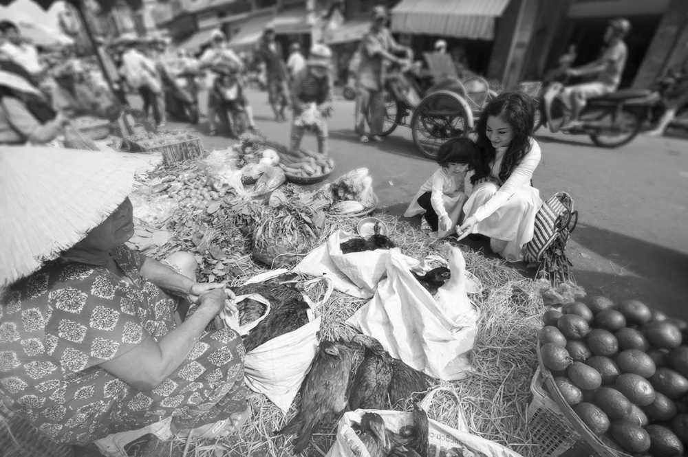 thuynga_2709_pnguyen