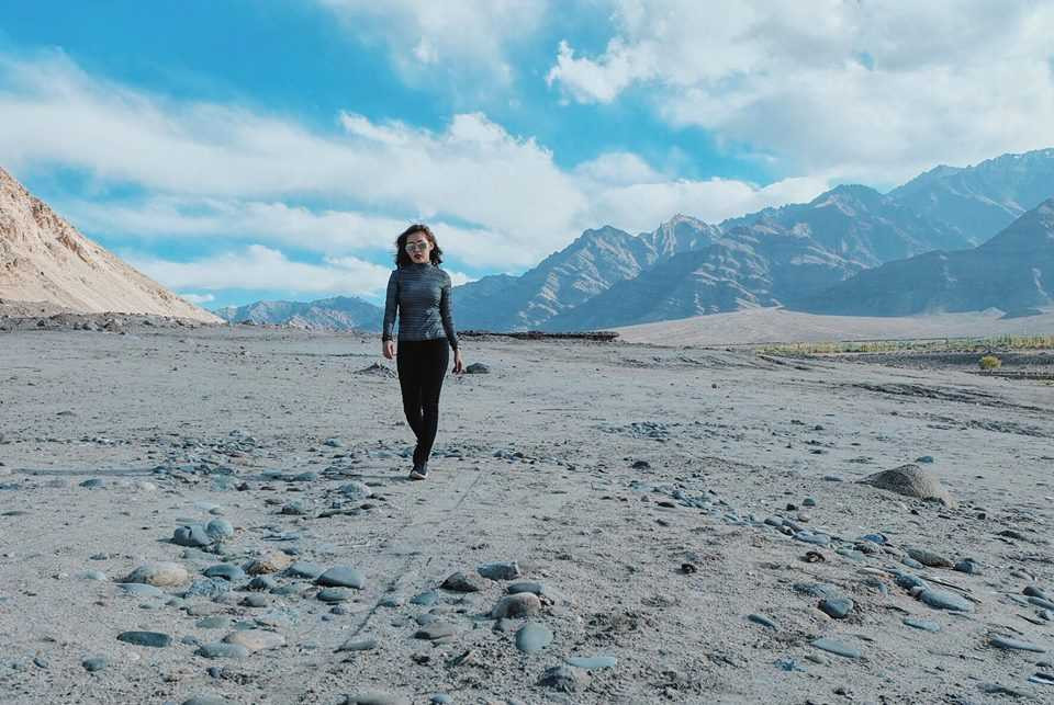 14462828_687184388114069_