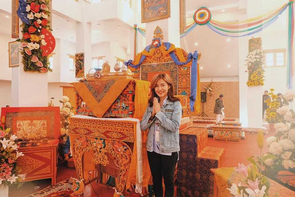 14517528_687828044716370_