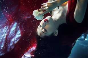 10896962_420122068153637_