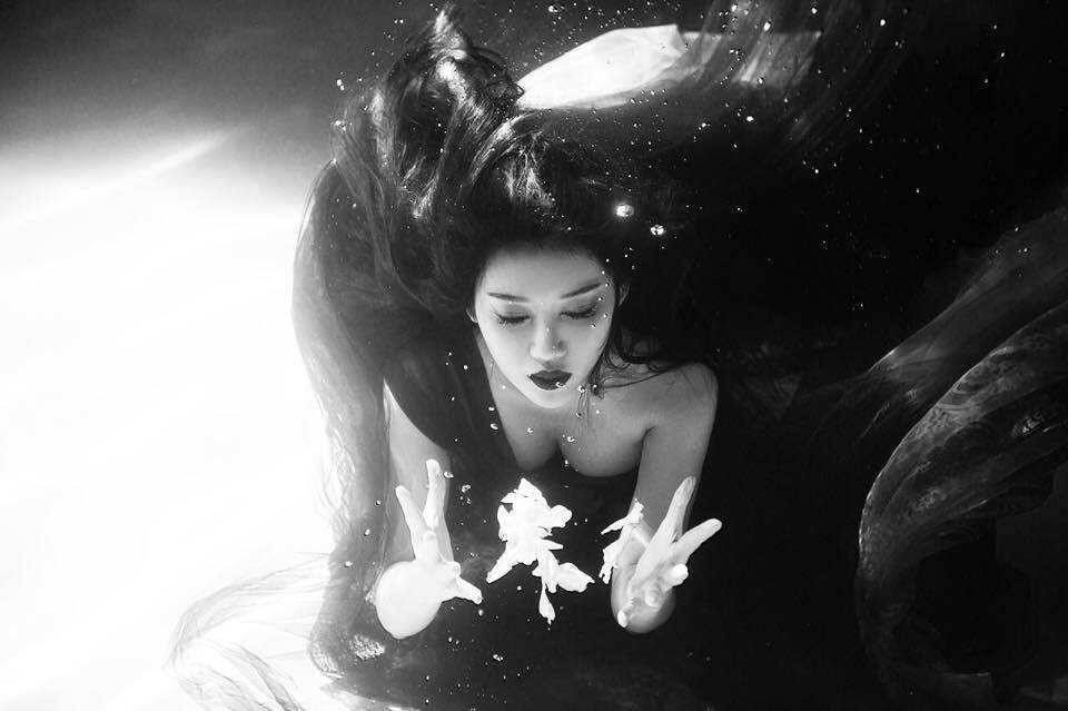 10984065_426266177539226_