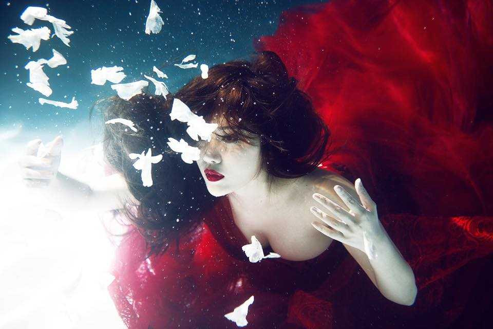 11150582_458229127676264_