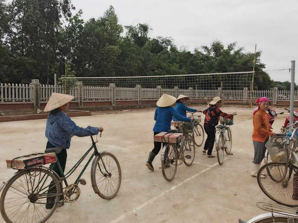 14666119_1424859004210208