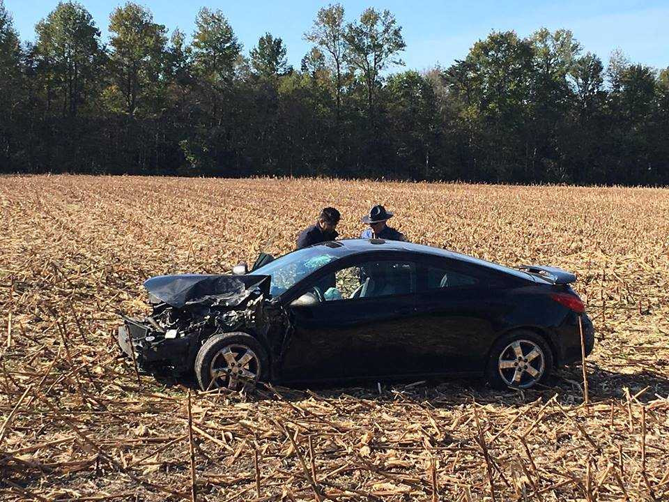 14731362_1020715764764847