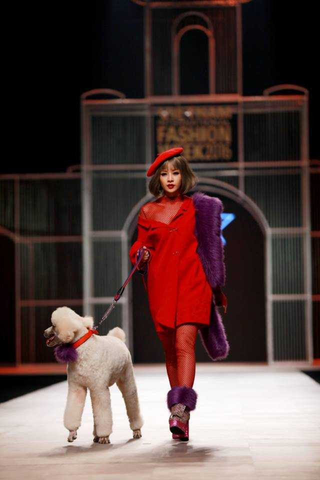 14907672_1020742420831529