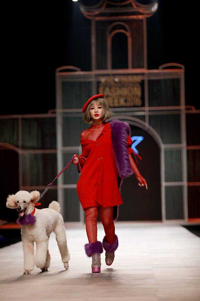 14947860_1020742420875530