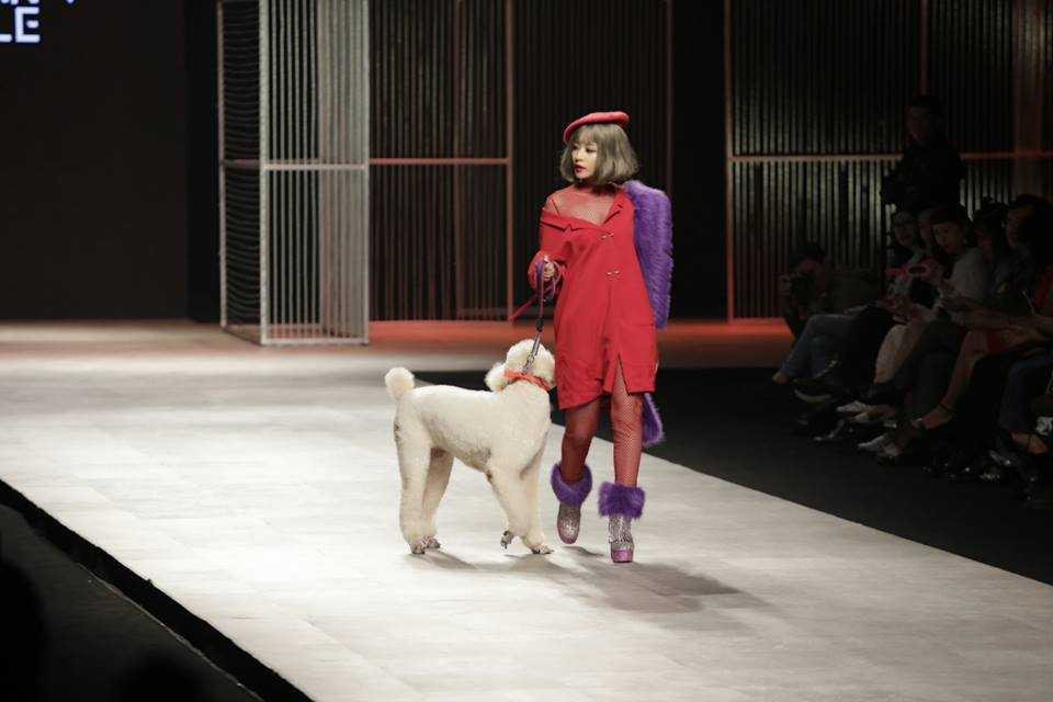 14947953_1020742420623524