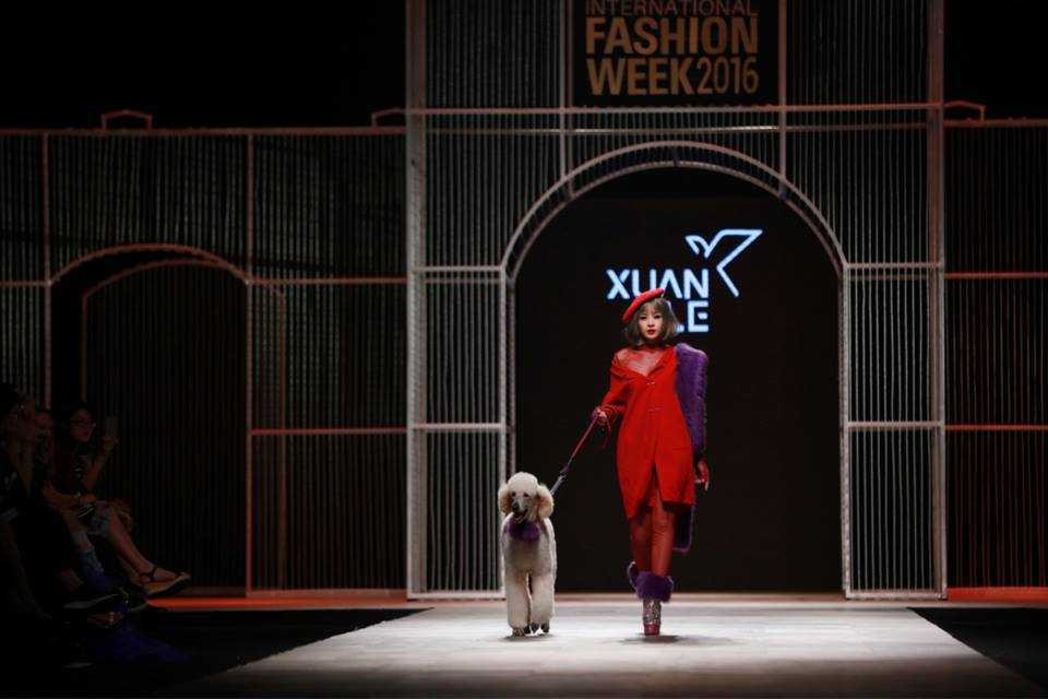 14962653_1020742420811529