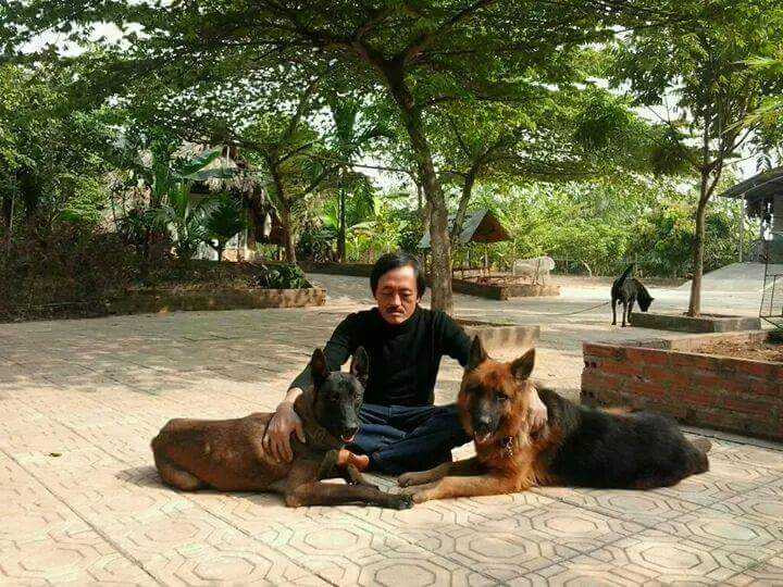 12376279_1691266377776839