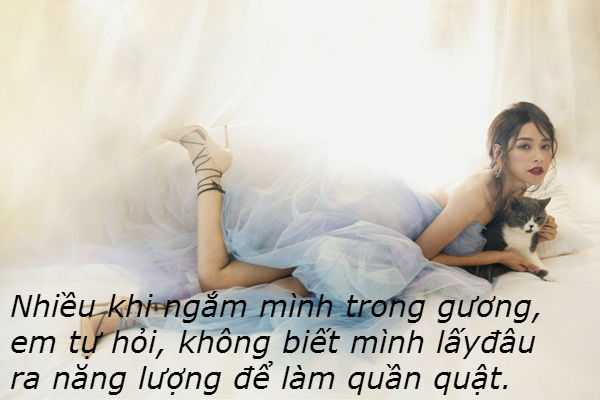 chi-pu-noi-loan-trong-bo-anh-moi
