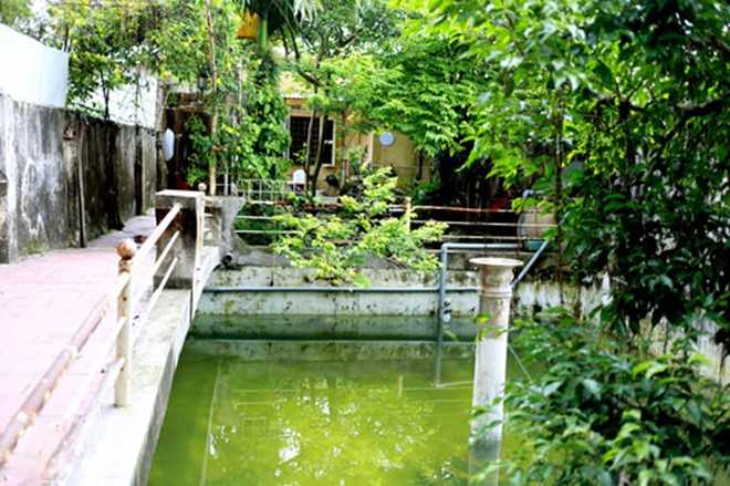 nhasao17
