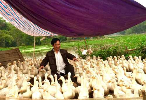 quang teo: “nha toi chi may chuc met vuong, 4 nguoi o con chat