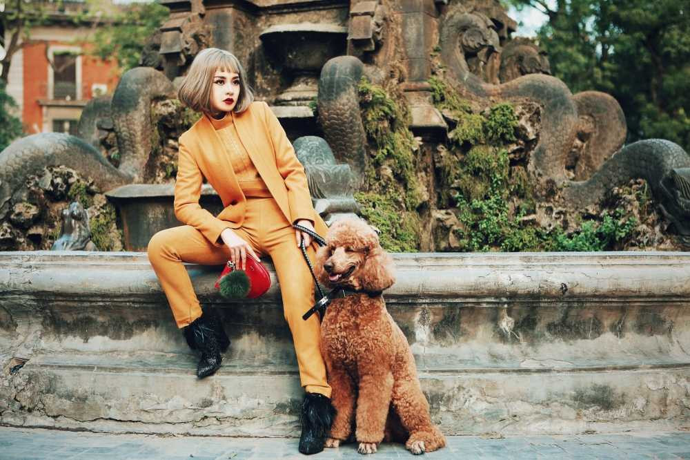 2016-11-14 12.20.12 1