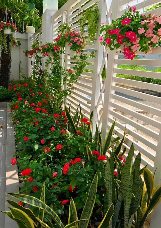 16403196_1135791276518733