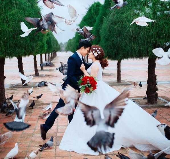 16806912_620136574840711_