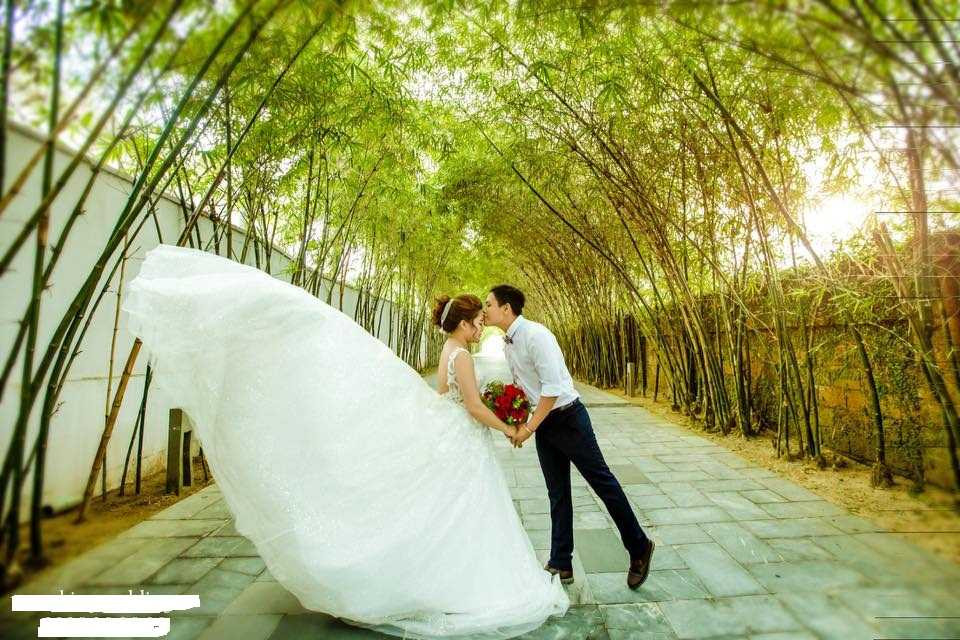 16938757_620136518174050_