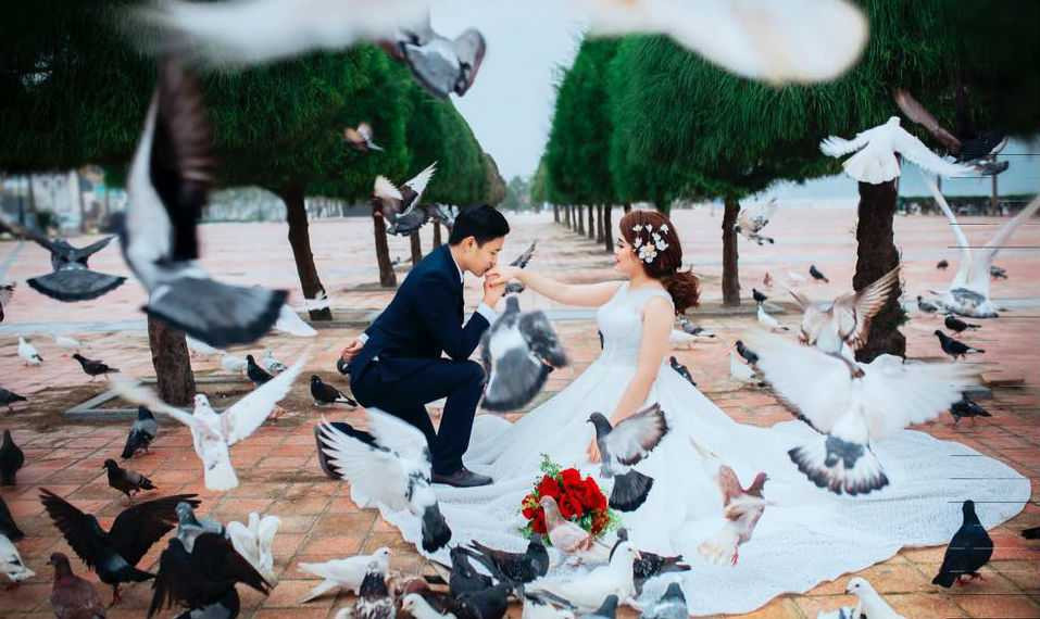 16996360_620136308174071_