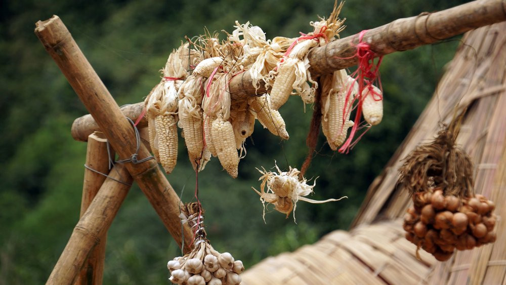 Hôm nay, du khách tham quan phim trường Kong sẽ thấy những gì? ảnh 4