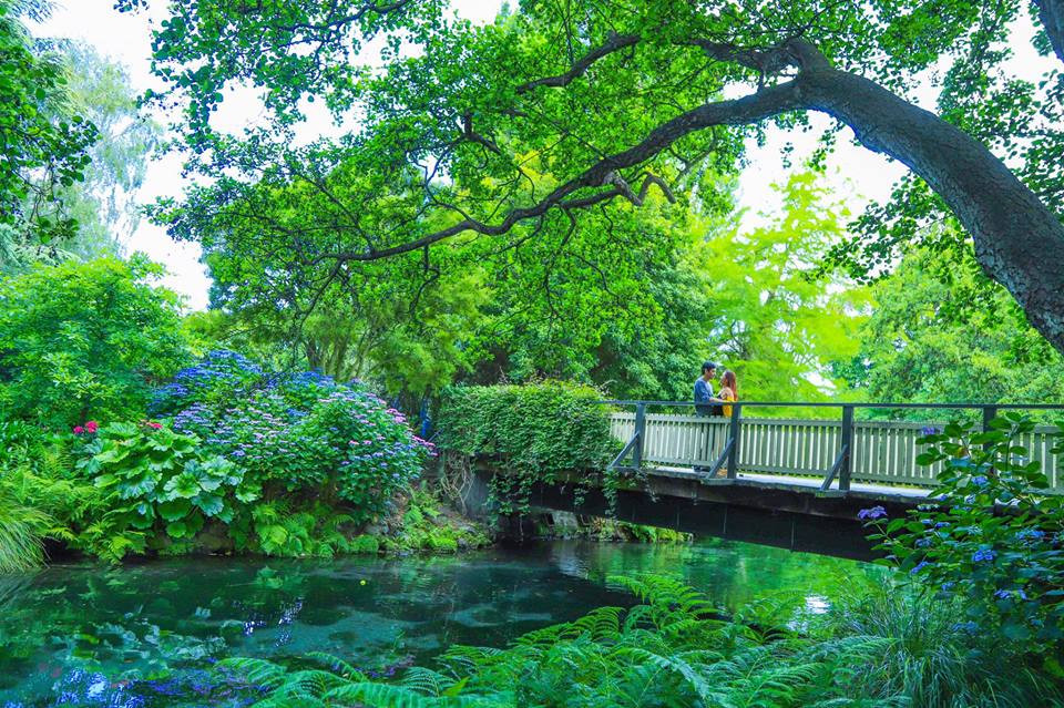 27858094_10155254590861198_4339821146598924293_n 3