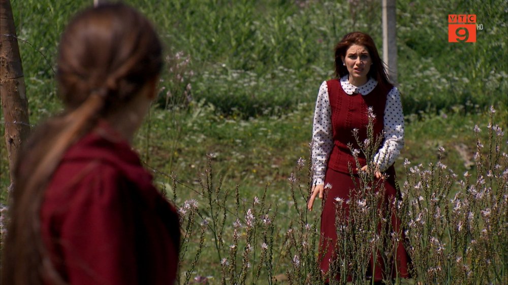 14.Zehra chay vao khu vuc nguy hiem 15