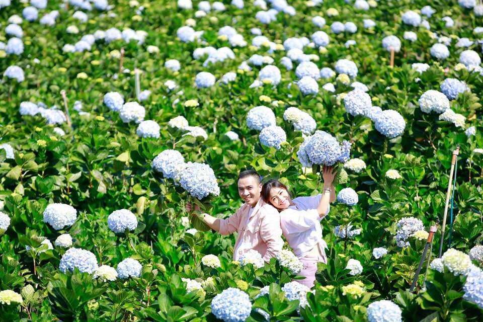 29792811_1841123665919825_588346112222429184_n 11