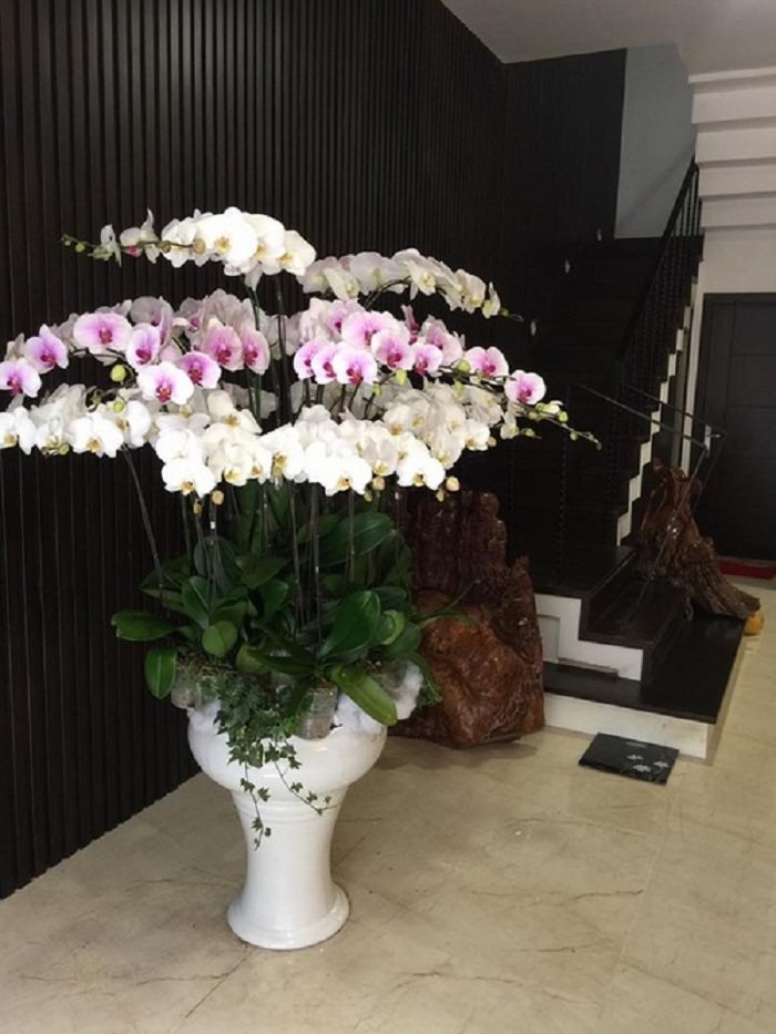 1486077776-148605196062136-quang-teo-14-1-1486080873961
