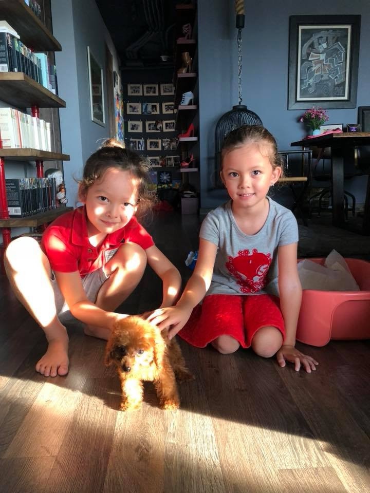 36434368_10156188337292819_4014493433216368640_n