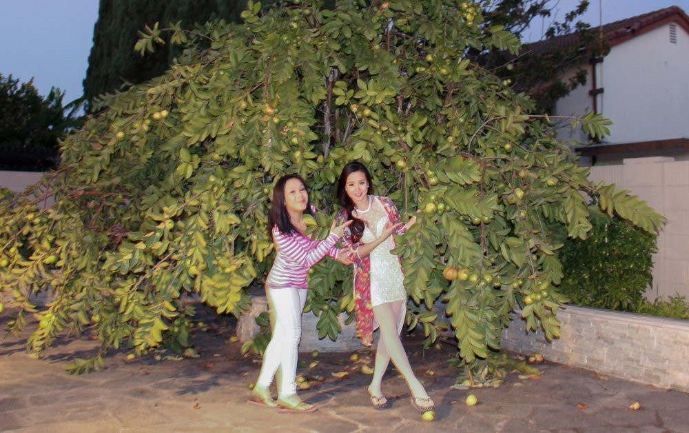 vyoanh-10-1388795801397 8