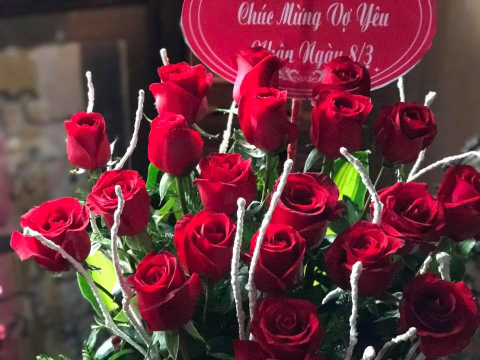 17191460_10210109417946896_4635503621418880778_n 36